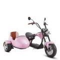 Eahora M1P + Sidecar - Pink