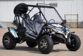 Trailmaster Cheetah 200EX Off Road UTV / Go Kart / side-by-side Wind Shield, Light bar, Spare Tire, Upgraded Center Pivot rear end, Fuel Injected