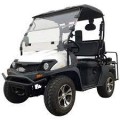 White - TrailMaster Taurus 200G Gas UTV High/Low Gear-Golf Cart Style UTV, Hi/Low transmission, Custom Rims, Upgraded
