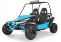 New Taotao BAJA SPORT 200 Go Kart 169cc, Electric Start, Powerplant With a CVT Automatic