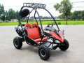 RPS 110CC DF125GKS Go Kart with Automatic Transmission, 4-Stroke, Air-Cooled Single Cylinder