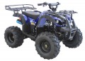 Vitacci RIDER-9 125cc ATV, Single Cylinder, 4 Stroke, Air-Cooled - Fully Assembled and Tested