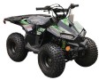 Vitacci RXR 110cc Atv,Automatic with Reverse, single cylinder, 4 stroke, air-cooled