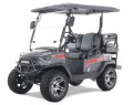 Tao Motor Champion TA 2+2 (Champ) Electric Golf Cart, Aluminum Alloy Wheels Large Colorful TFT Display