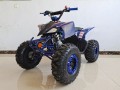 Vitacci PIONEER 125cc ATV for sale Auto with Reverse