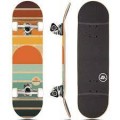 Starter Skateboard (Sunset)