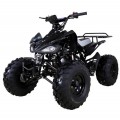 Tao Tao Cheetah 125 ATV, Air Cooled, 4-Stroke, 1-Cylinder, Automatic With Reverse 5.0 star rating 2 Reviews