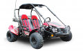 Trailmaster ULTRA BLAZER 200 Go Kart High Back seats, Live Rear Axle, Upgraded Carb, Double A-Arms, Coil Over Shocks
