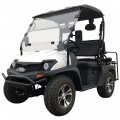 White - New Trailmaster Taurus 200GV UTV, Gas Golf Cart