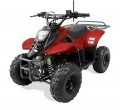 HAWK REX 110CC ATV, 6" Tire - Fully Assembled and Tested