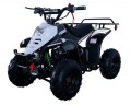 Vitacci HAWK 6 110cc ATV, Single Cylinder, 4 Stroke, Air-Cooled, Foot Brake 4.0 star rating 1 Review