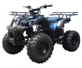 Taotao TForce 135D 110cc Mid Size ATV, Air Cooled, 4-Stroke, 1-Cylinder, Automatic with Reverse